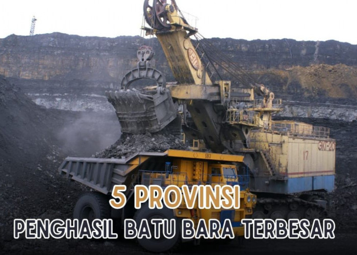 5 Provinsi Penghasil Batu Bara Terbesar yang Ada di Indonesia, Sumatera Selatan Masuk, Bisa Tebak Kota Apa?