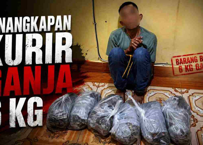 Operasi Gabungan Berhasil! Kurir Ganja Diamankan Bersama Barang Bukti 6Kg