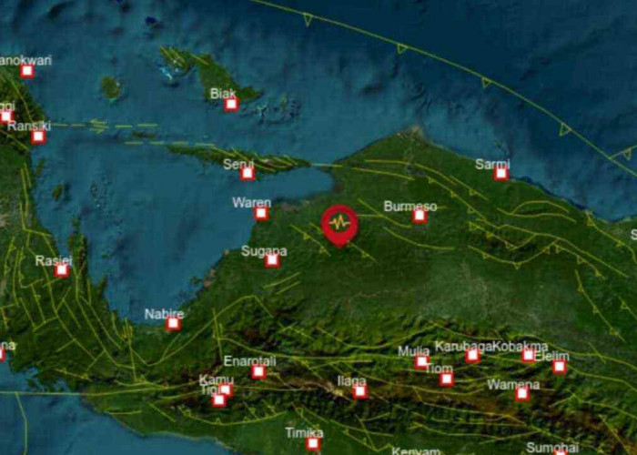 Gempa 3.9 Magnitudo Guncang Waropen Papua Pagi Ini, Cek Update Terkini Stasiun Geofisika Nabire