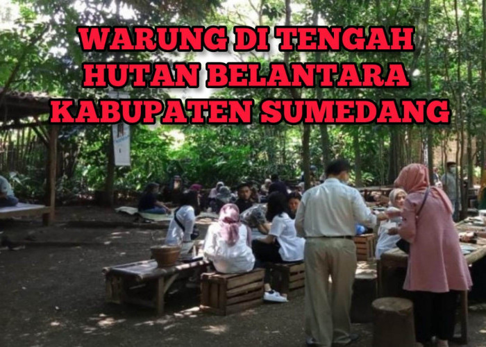 Aneh, Ada Warung di Tengah Hutan Belantara di Kabupaten Sumedang, Tapi Selalu Ramai, Kenapa Ya!