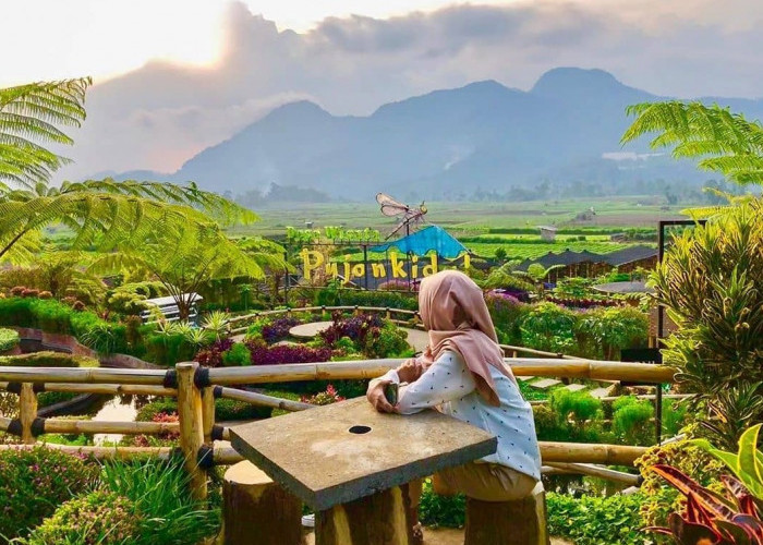 Unik! Warung Tengah Sawah di Ponorogo Laris Manis, Sediakan Nasi Pecel Rp5.000-an