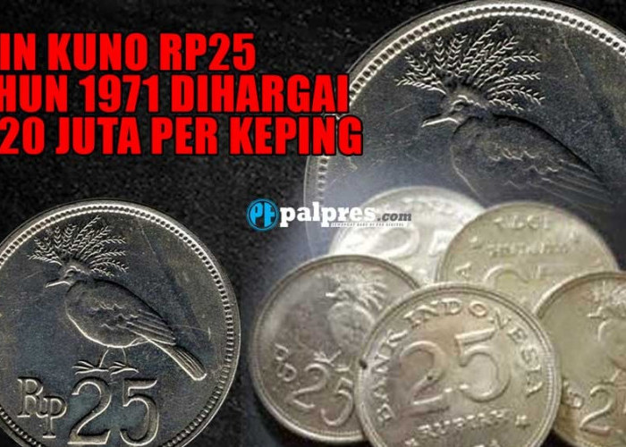 Jual Sekarang! Koin Kuno Rp25 Tahun 1971 Dihargai Hingga Rp20 Juta Per Keping