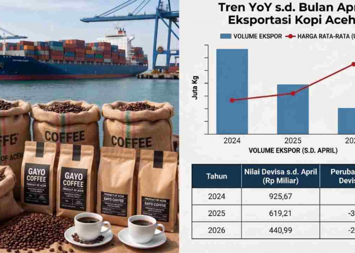 Ekspor Kopi Aceh Anjlok, Devisa Baru Capai Rp440 Miliar di Awal 2026, Ini Penyebabnya