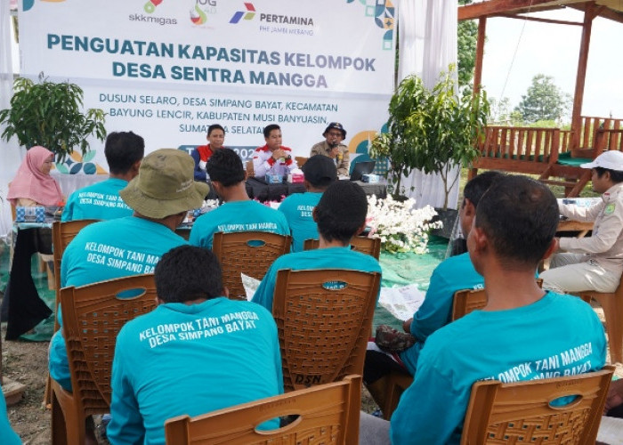 Bukan Hanya Tempat Hasilkan Buah, Kebun Mangga di Simpang Bayat Siap Menjadi Agrowisata Desa