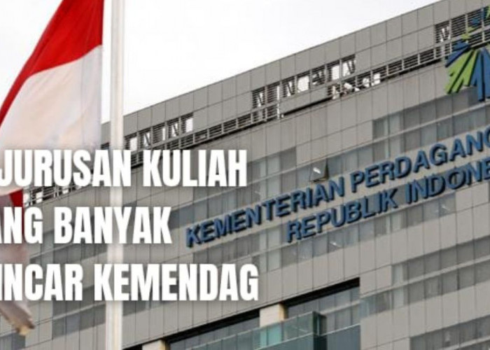 4 Jurusan Kuliah Dicari Pegawai Kementerian Perdagangan Beserta Kampus Terbaik Indonesia