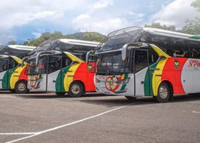10 PO Bus Paling Populer di Sumatera, Ada yang Berdiri Sebelum Indonesia Merdeka