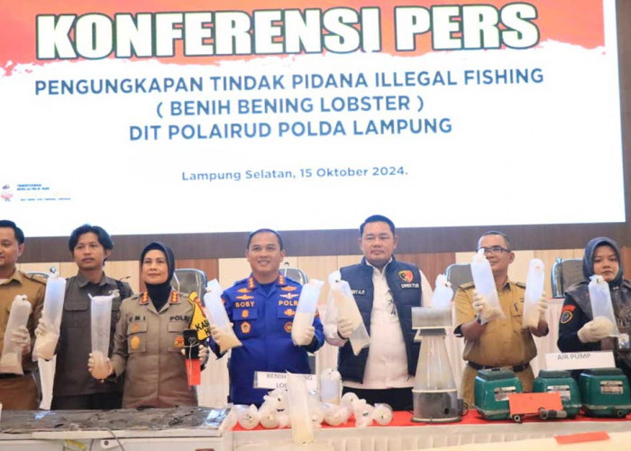 Polda Lampung Berhasil Ungkap Penyelundupan Benih Lobster, KKP: Langkah Cepat Ditpolairud Acungi Jempol