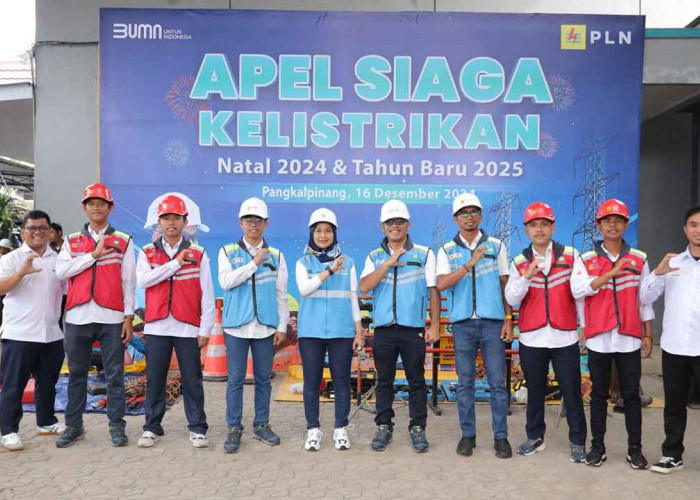 PLN Icon Plus Pastikan Layanan Konektivitas Andal Selama Siaga Kelistrikan Natal 2024 & Tahun Baru 2025