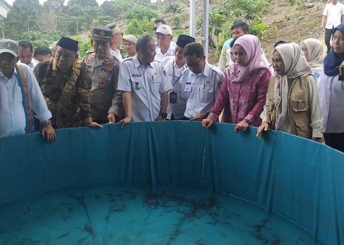 Pilot Project Nasional? Anggota DPRD Lahat Puji Inovasi Pakan Maggot dan Bioflok di Mulak Ulu