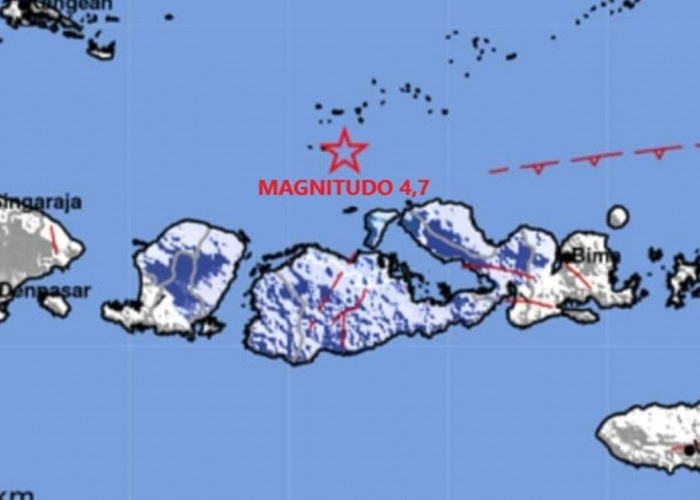 Rentetan Gempa Dini Hari Guncang Sumbawa dan Sejumlah Daerah, Terkuat Magnitudo 4,7!