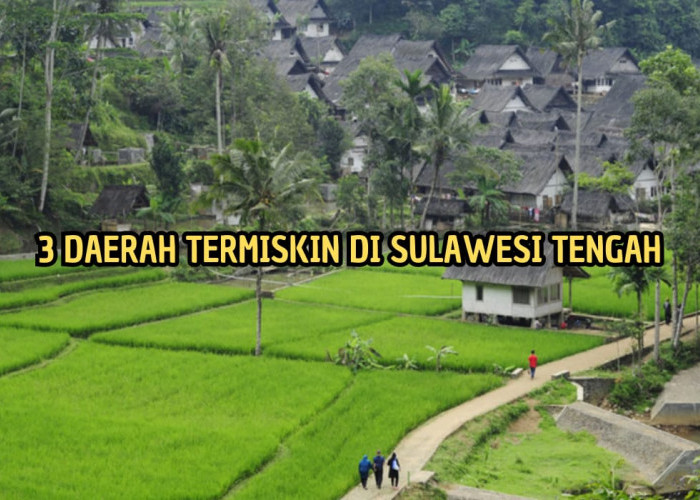 3 Daerah yang Memiliki Penduduk Termiskin di Sulawesi Tengah, Ada yang Dikenal Daerah Bersejarah