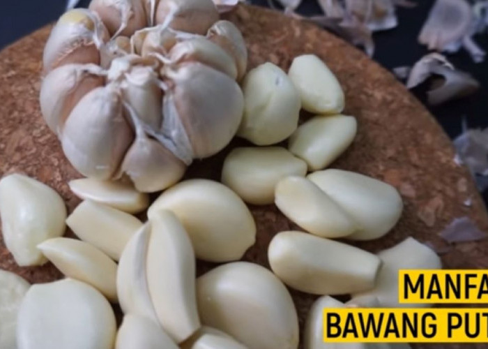 7 Manfaat Bawang Putih Bagi Kesehatan Tubuh, yuk Simak Ulasannya