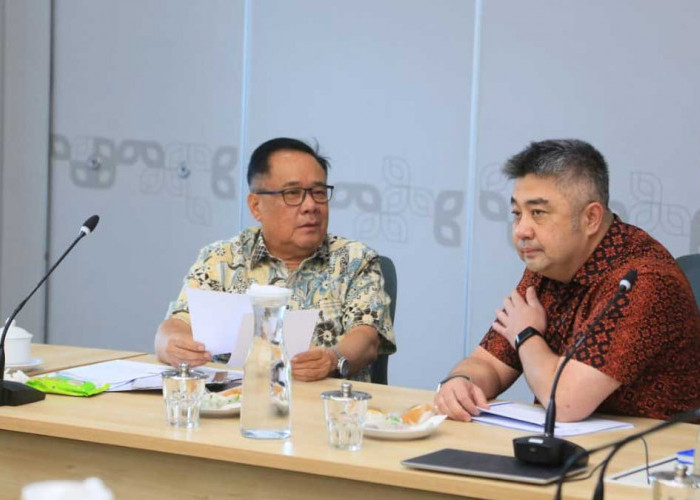 Sumsel All Out! Wagub Cik Ujang Desak Pelindo Satset Tuntaskan 'Mimpi Besar' Pelabuhan Tanjung Carat