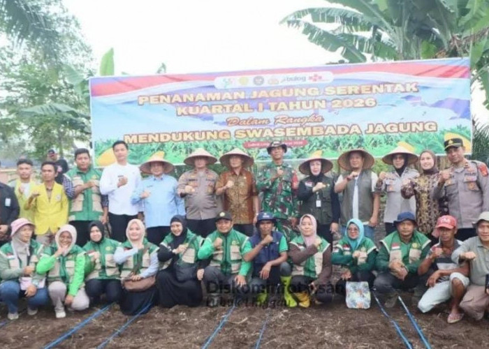 Polres Lubuklinggau dan Pemkot Tanam Jagung Serentak, Targetkan Penguatan Ketahanan Pangan