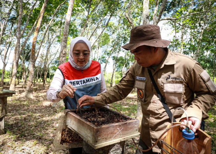 Berawal Ide Sederhana, PEP Sangatta Field Benahi Sistem Budidaya Lebah Kelulut di Taman Nasional Kutai