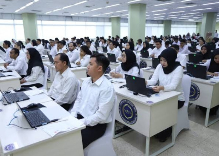 Upah PPPK Paruh Waktu di Sumatera Utara Ditetapkan, Cek Rinciannya