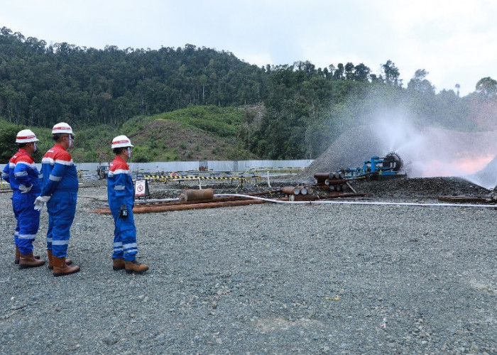 PHE Catat Temuan Cadangan Eksplorasi Migas Terbesar Sepanjang 15 Tahun Terakhir