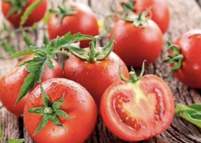 5 Manfaat Mengonsumsi Buah Tomat, Salah satunya Menjaga Kesehatan Jantung 
