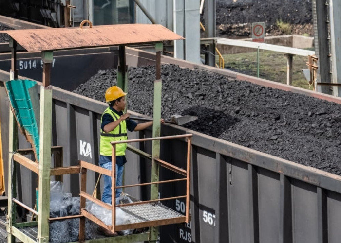 Mokcer! Penjualan Batu Bara PTBA Tembus 21,10 Juta Ton di Semester I 2026