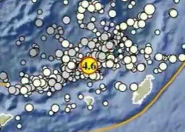 Gempa Magnitudo 4.6 Guncang Maluku Tenggara Barat, Disini Titik Episentrumnya