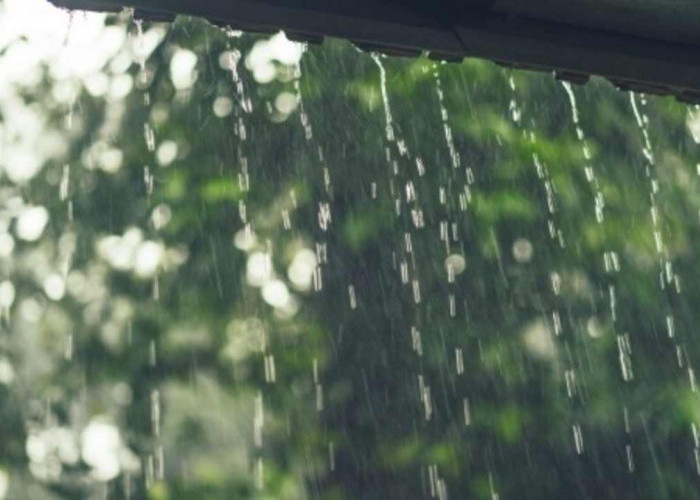 Prakiraan Cuaca Sumsel 4 Februari 2026: Mayoritas Wilayah Diguyur Hujan, OKI Waspada Udara Kabur