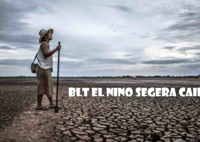 BLT El Nino Segera Cair ke Penerima Bansos PKH dan BPNT, Cek Nama Penerimanya!   