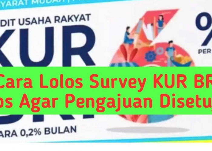 Syarat dan Cara Mengajukan 3 Jenis KUR BRI 2024, Dapat Modal Capai Rp500 Juta, Cukup Daftar Online 