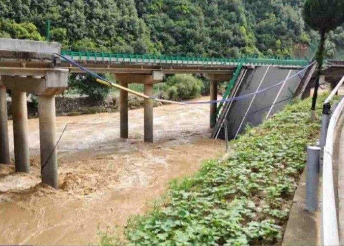 Jembatan di China Ambruk, Belasan Orang Tewas dan 31 Dinyatakan Hilang