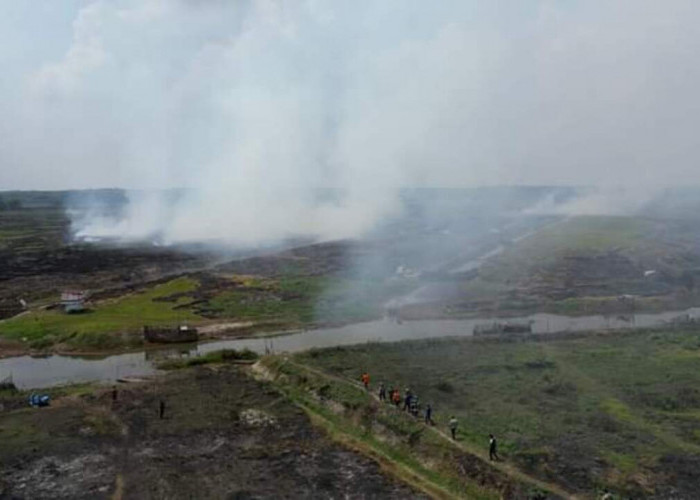 Karhutla Menggila, 1.088 Hektar Lahan di Ogan Ilir Terbakar  
