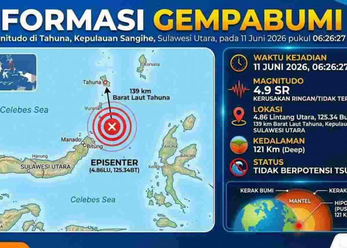  Tahuna Diguncang Rentetan Gempa! BMKG Catat Guncangan Beruntun Pagi Ini