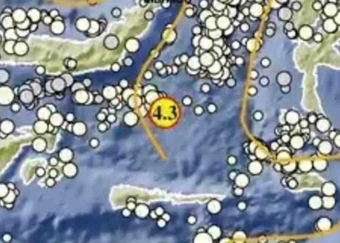BMKG Catat Rentetan Gempa Pagi Ini, Salah Satunya Magnitudo 4,3 di Sulawesi Utara