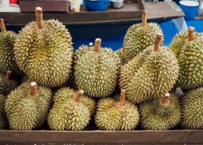 Juara Paling Enak! Ini 8 Jenis Durian Indonesia Paling Populer, Mana Favorit Kamu?