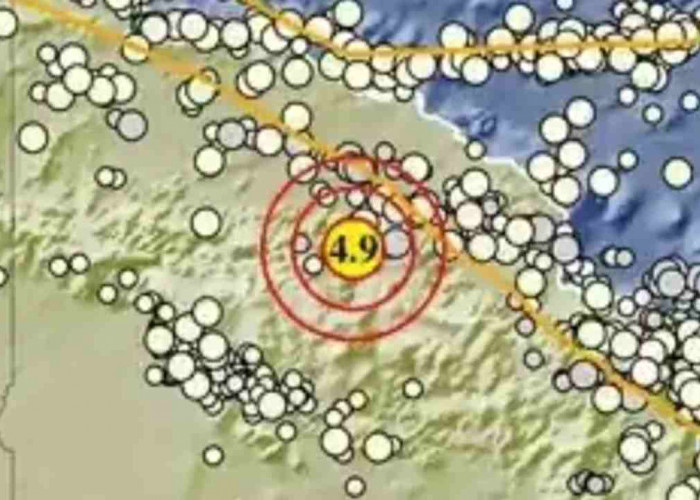 Indonesia Pagi Ini Diguncang Serangkaian Gempa, Terkuat di Pegunungan Bintang