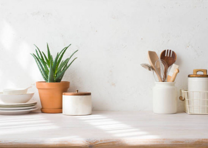 AJAIB! Ini 4 Tanaman Hias Penyegar Udara Dapur Anda