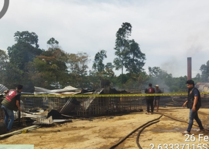 Pemilik Penyulingan Minyak Ilegal Terbakar di Kecamatan Sanga Desa Jadi Tersangka