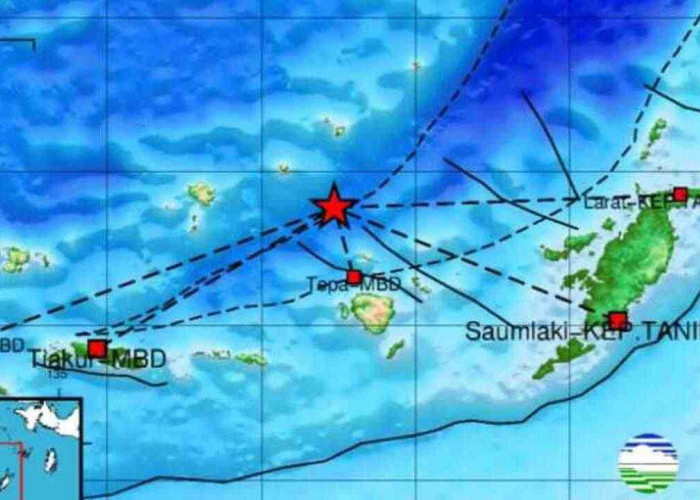 Pagi Ini Gempa 3.9 Magnitudo Guncang Maluku Barat Daya, Kedalaman 209 Km, Tak berpotensi Tsunami