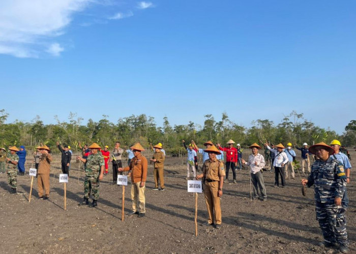 TNI, Pemda, Perusahaan dan Masyarakat Serentak Tanam Mangrove di Pesisir OKI