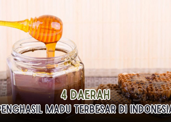 4 Daerah Penghasil Madu Terbaik di Indonesia, Bahkan Terbaik No 2 di Dunia Lho!