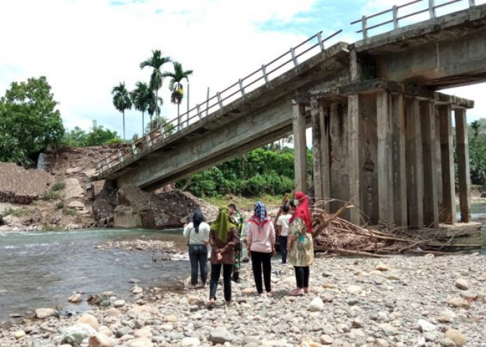 Jembatan Penghubung Ambruk, Warga Terpaksa Bawa Sawit Seberangi Sungai Bila Surut