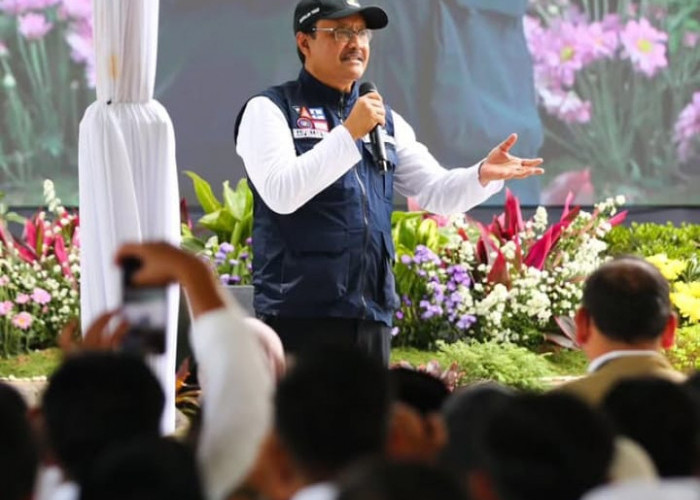 Pemerintah Mulai Bagikan BLT Kesra dan Bansos Beras 10 kilogram Pada November, Termasuk PKH BPNT!