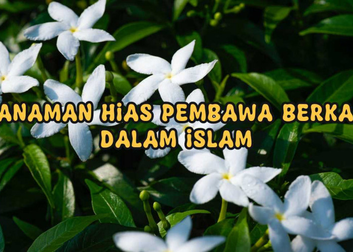 Deretan Tanaman Hias Pembawa Berkah dalam Islam, No 2 Mudah Ditemui di Pekarangan Rumah