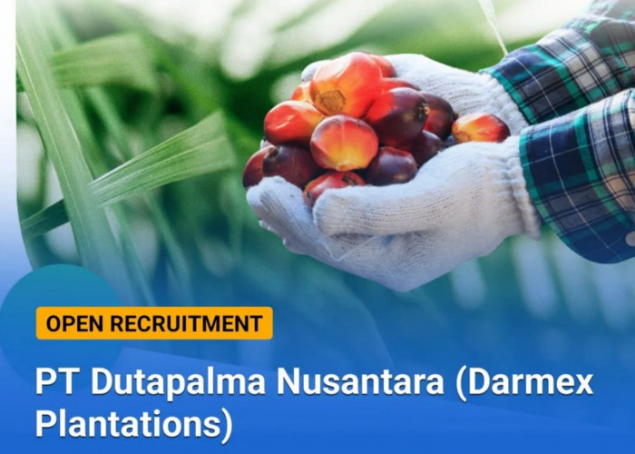 Lowongan Kerja: PT Dutapalma Nusantara (Darmex Plantations) Buka 3 Posisi Jabatan Terbaru Cek Kualifikasinya