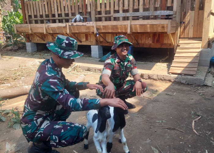 Momen Hangat TMMD 129: Ketika Dua Prajurit TNI Asyik Main Bareng Anak Kambing Warga Desa Cukil!