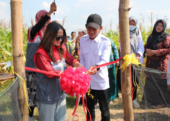 Berikan CSR Berkelanjutan Melalui Program Desa Energi Berdikari Elnusa, Ini Sasaran Desanya