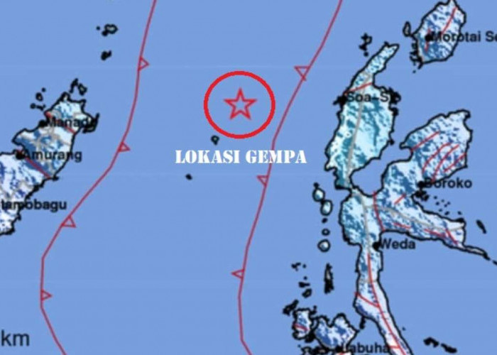 Update BMKG, Pagi Ini Gempa 5.4 Magnitudo Terjadi di Laut Halmahera Barat, pada Kedalaman 10 Km