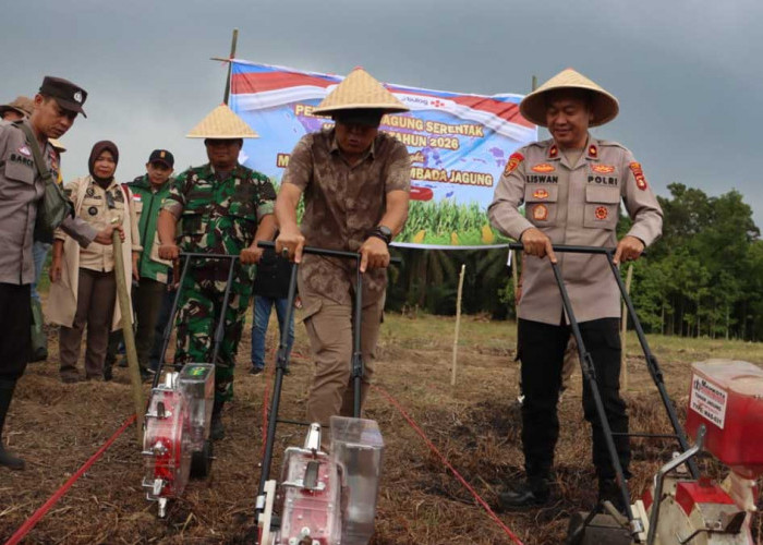 Dukung Swasembada Pangan, Wakapolres dan Sekda Lahat Turun ke Ladang Tanam Jagung Serentak 2026