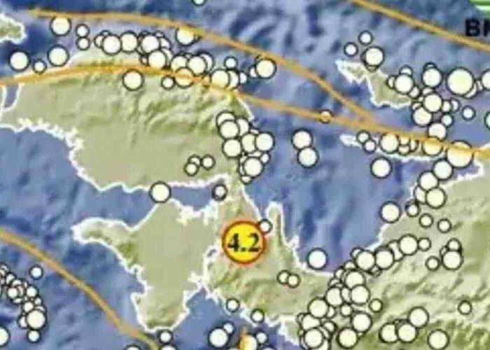 Pagi Ini, Gempa 4.2 Magnitudo Guncang Teluk Wondama Papua Barat