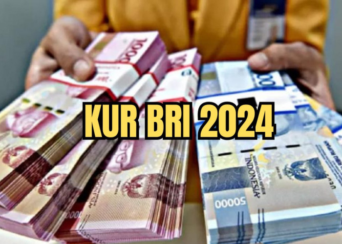 Pinjaman KUR BRI 2024, Nominal Rp25 Juta-Rp500 Juta, Lengkap dengan Syarat dan Suku Bunga