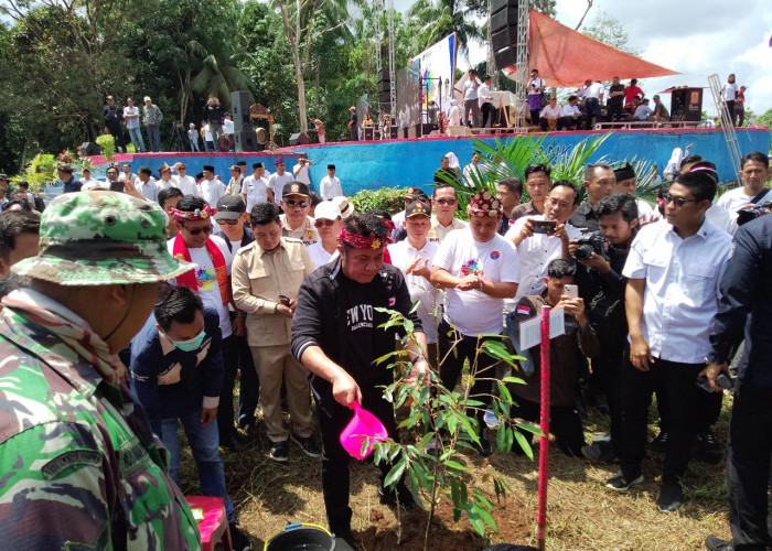 Dispertanikan Muratara Tanam 1.000 pohon di Wisata Danau Rayo