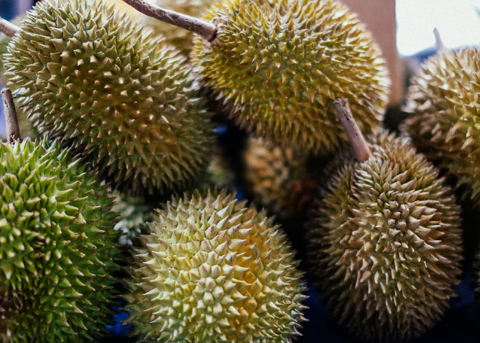 5 Kecamatan Penghasil Durian Terbesar di Kabupaten Karanganyar: Jumantono Nomor 3, Lalu Juaranya?